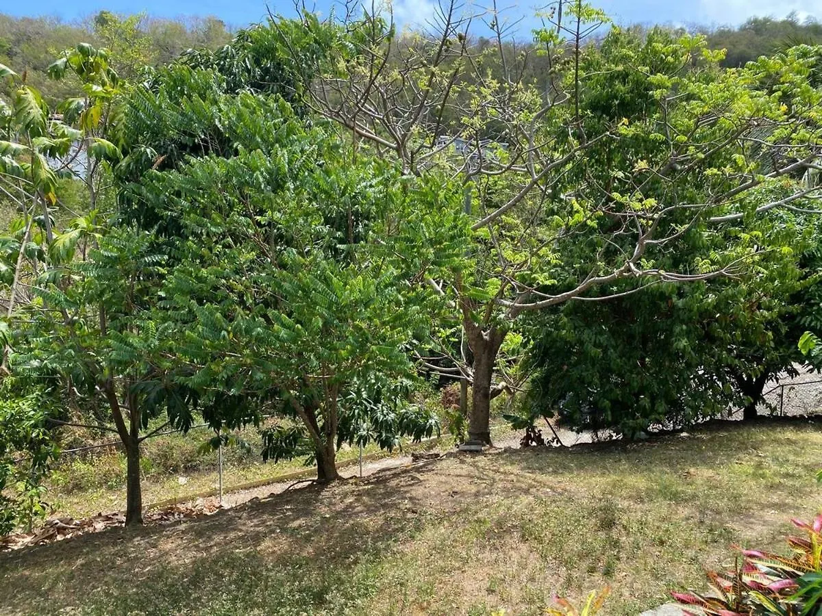 Hidden Treasure Apartment Gros Islet Saint Lucia
